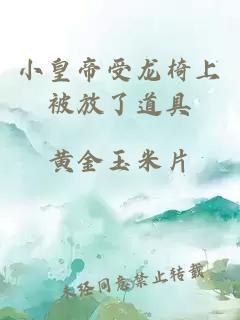小皇帝受龙椅上被放了道具