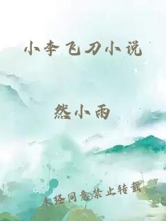 小李飞刀小说