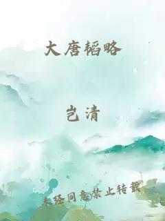 大唐韬略