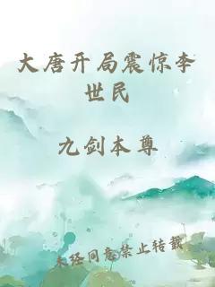 大唐开局震惊李世民