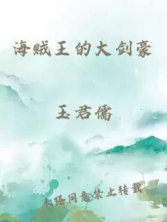 海贼王的大剑豪