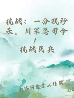 抗战：一分钱秒杀，川军总司令！