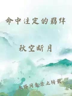 命中注定的羁绊
