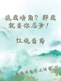 撬我墙角？那我就当你后爹！