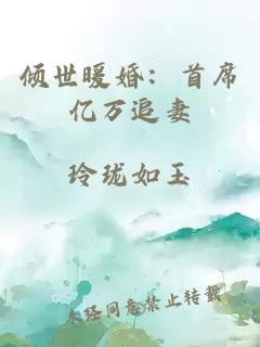 倾世暖婚：首席亿万追妻