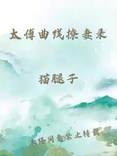 太傅曲线撩妻录