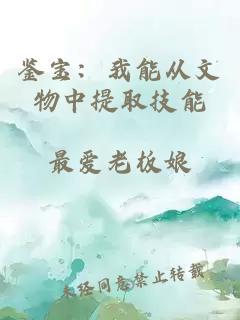 鉴宝：我能从文物中提取技能