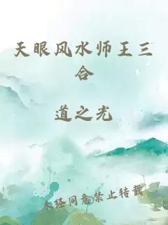 天眼风水师王三合