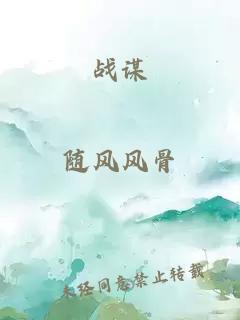 战谋