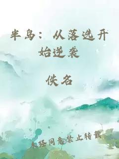 半岛：从落选开始逆袭