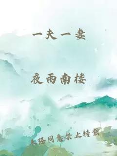 一夫一妻