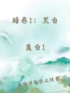 暗巷1：黑白