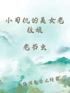 小司机的美女老板娘