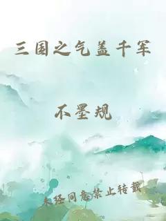 三国之气盖千军
