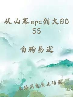 从山寨npc到大BOSS